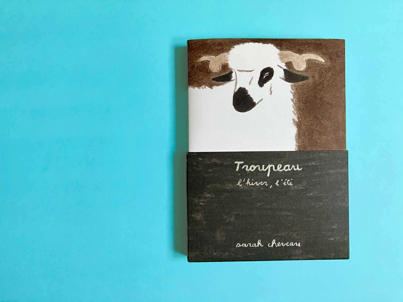 couverture du livre "Troupeau" de Sarah Cheveau